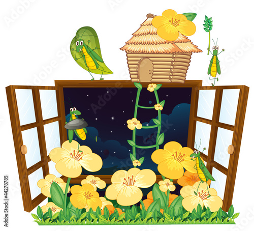 grasshopper, bird house and window