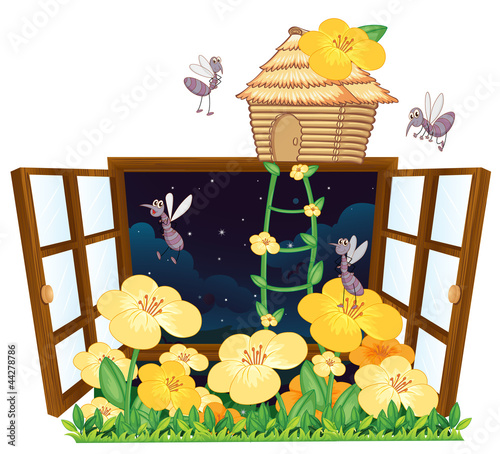 mosquito, bird house and window