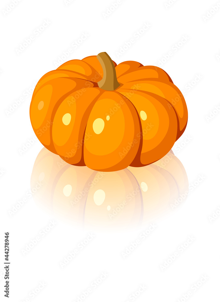 Obraz premium Orange pumpkin. Vector illustration.