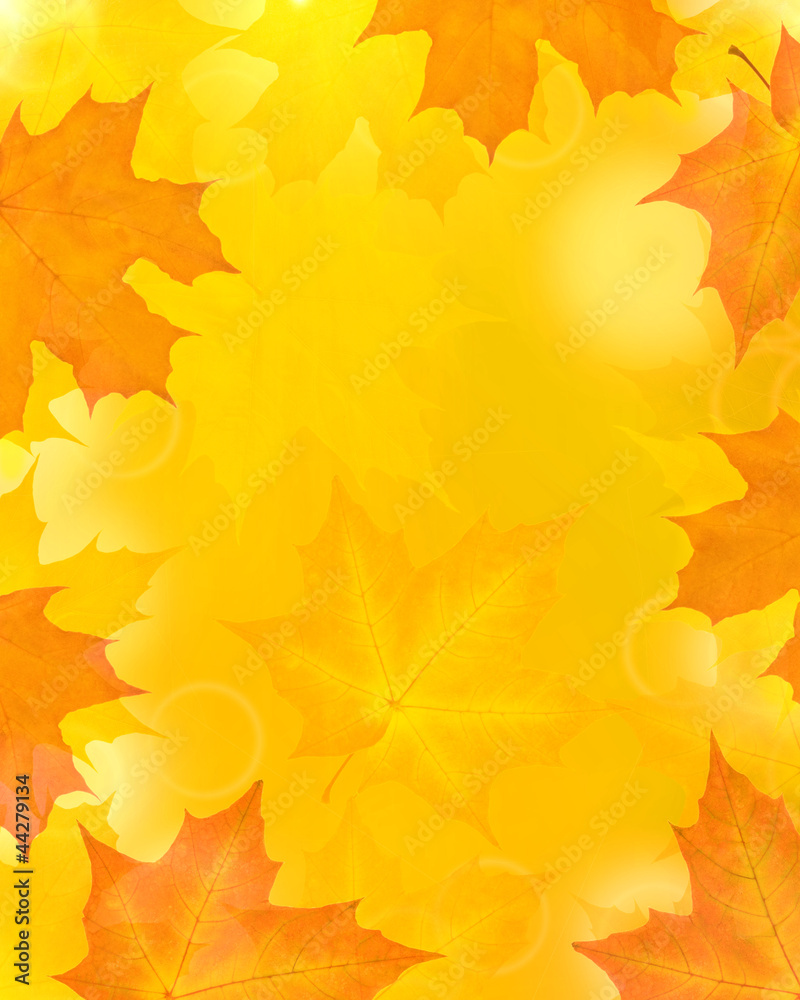 Fototapeta premium golden leaves abstract background