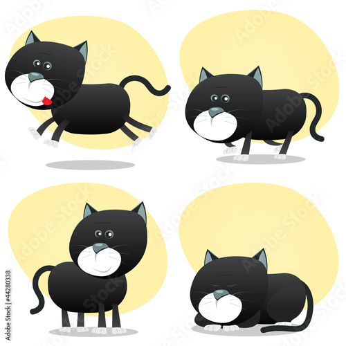 Cartoon Black Cat Set