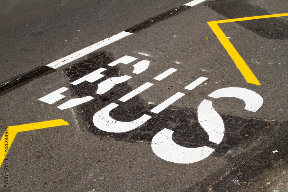 Fototapeta premium Bus text on the ground