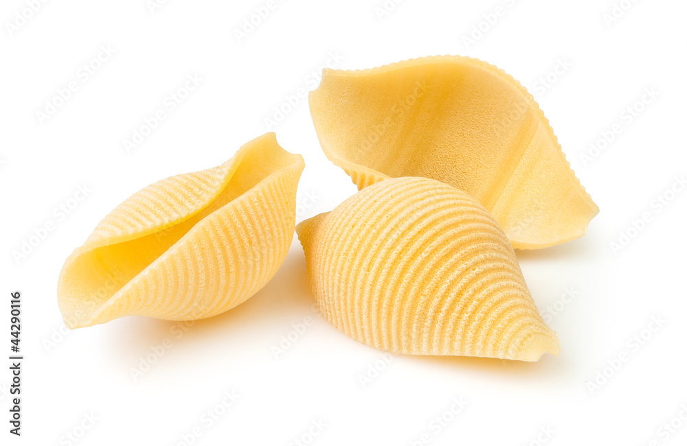 pasta closeup pasta closeup