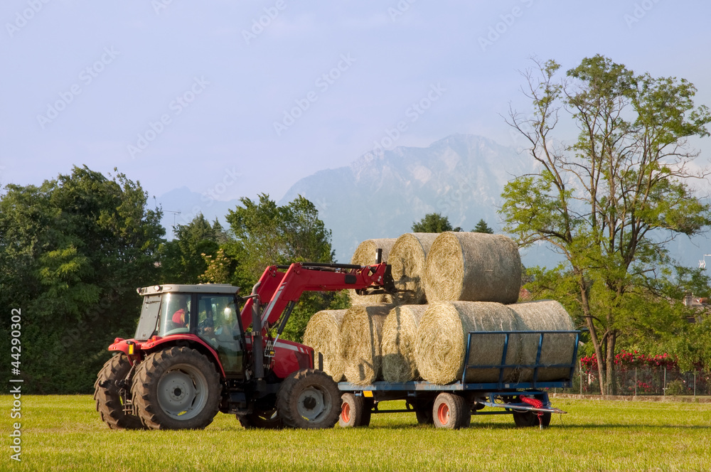 Obraz premium Tractor putting hay bale on barrow