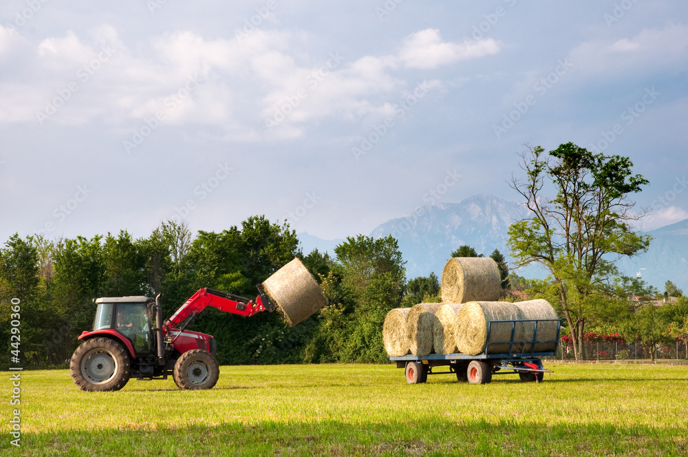 Naklejka premium Tractor lifting hay bale