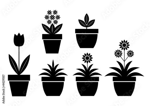 Flower icons on white background