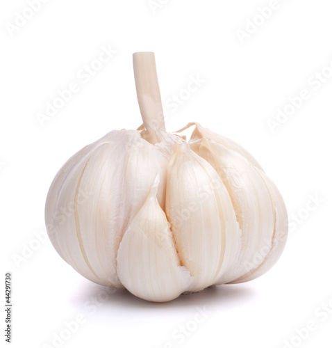 garlic bulb