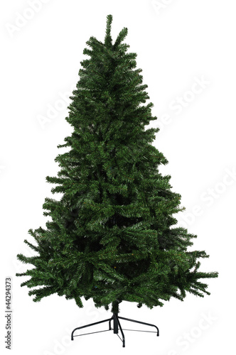 Christas tree.