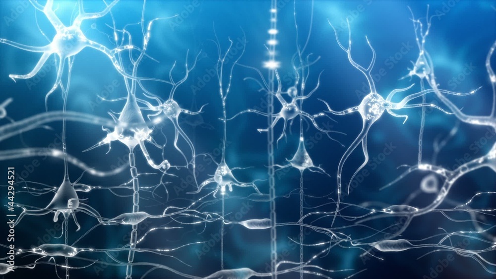 Neuronal Activity Female Blue
