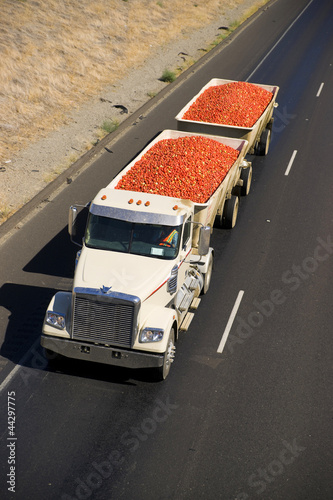 Transport Truck photo