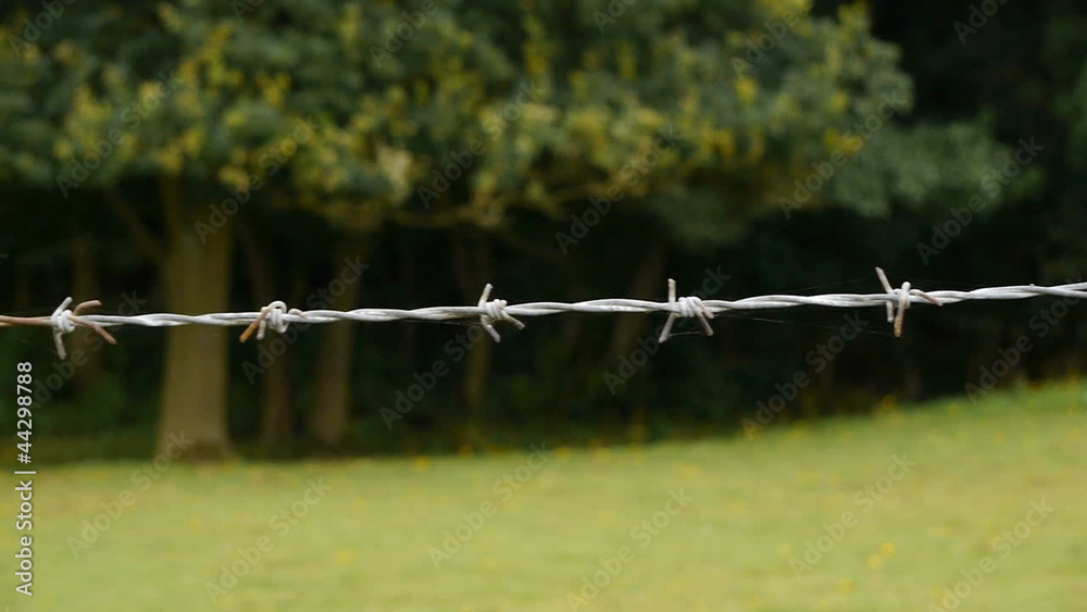 Single barbed wire strand. Camera move then hold. Single barbed wire strand. Camera move then hold.