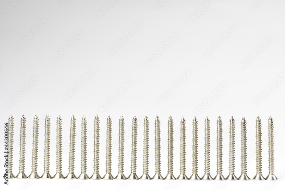 Screw Screw