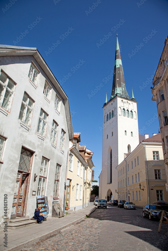 Fototapeta premium st. Mary Cathedral in Tallinn old town, Estonia