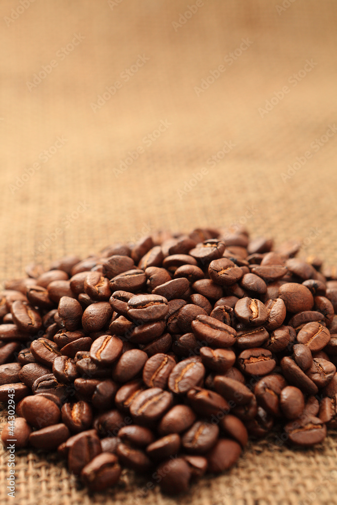 コーヒー豆 コーヒー豆