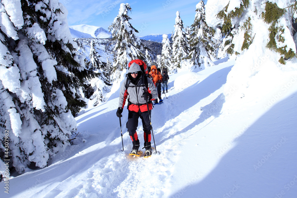 Winter hike. Winter hike.