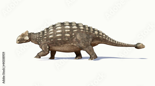 Photorealistic 3 D rendering of an Ankylosaurus. Side view. photo