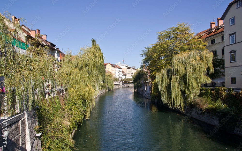 Edifici lungo il fiume a Lubiana e i salici piangenti sulle rive
