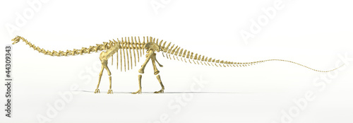 Naklejka Diplodocus dinosaur full skeleton photo-realistc rendering.