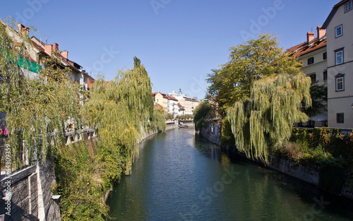 Edifici lungo il fiume a Lubiana e i salici piangenti sulle rive photo