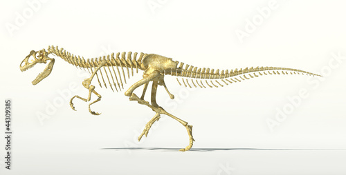 Allosaurus dinosaur photo-realistic skeleton. © matis75
