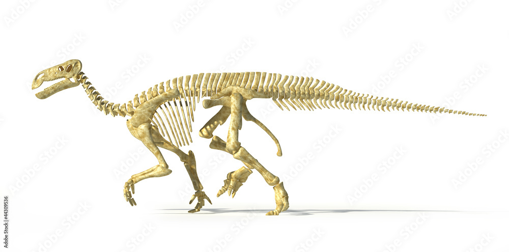 Therizinosaurus Skeleton therizinosaurus-skeleton
