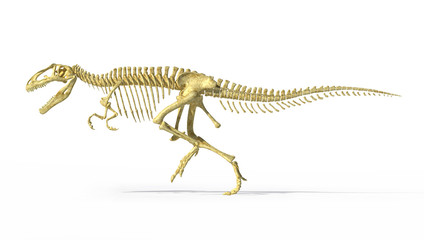 Poster Dinosaurus Gigantosaurus skelet zijaanzicht realistisch  © Pixelchaos