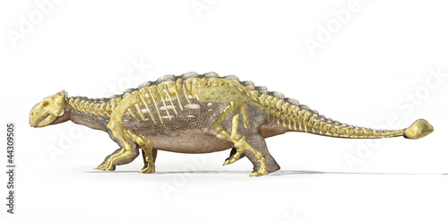 Photorealistic 3 D rendering of an Ankylosaurus, with full skele © matis75