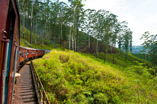 Riding by train in Sri Lanka photo