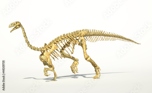 Plateosaurus dinosaur, full photo-realistic skeleton, scientific