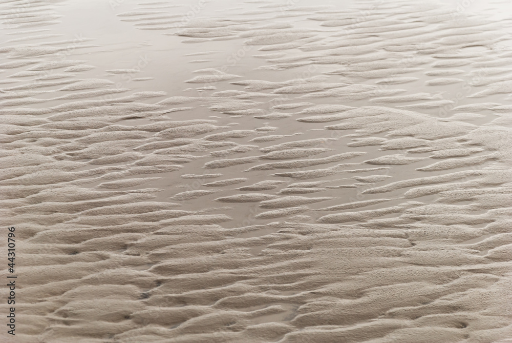 Obraz premium Wattenmeer