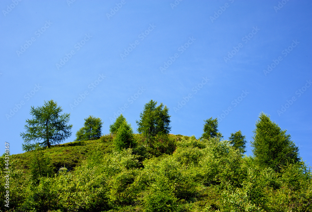 Alpine landscape