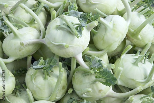 kohlrabies photo