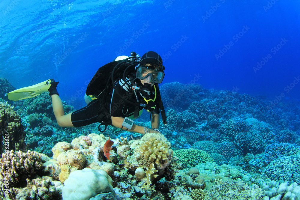 Woman Scuba Diver explores coral reef Woman Scuba Diver explores coral reef