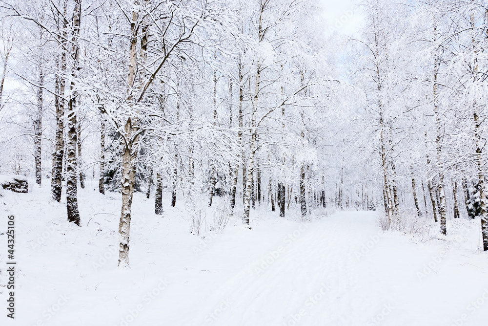 Fototapeta premium Winter footpaths