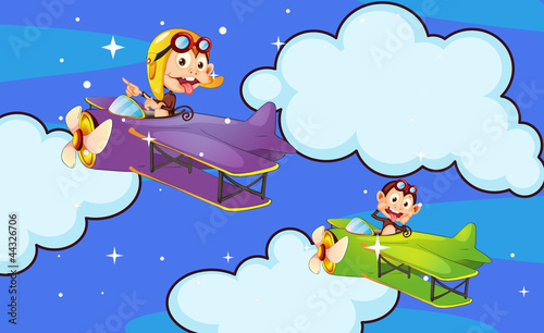 monkey in aircraft