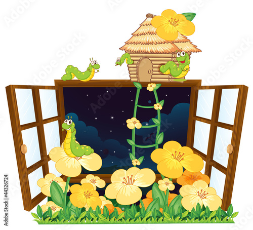 worms, bird house and window