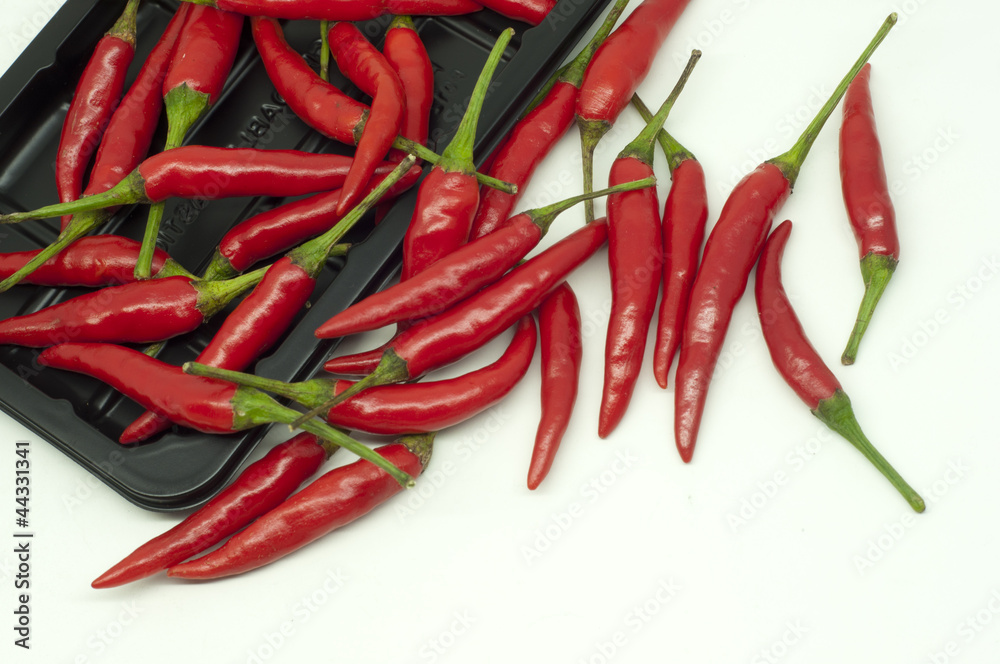 Thai red hot chili on white background