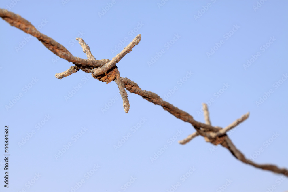 rusty barbed wire