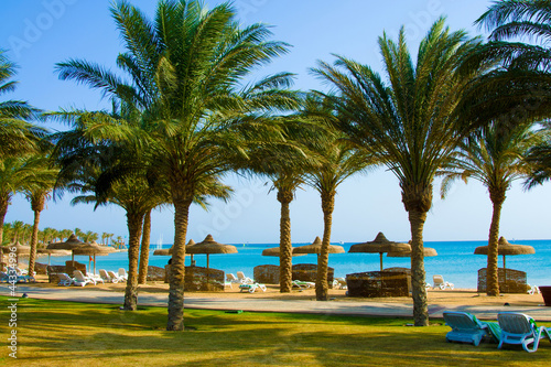 Tropical Beach with Coconut Palm Trees