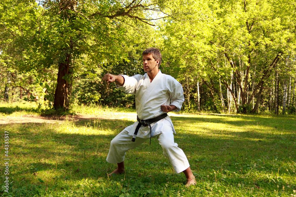 The man practicing karate in the park The man practicing karate in the park