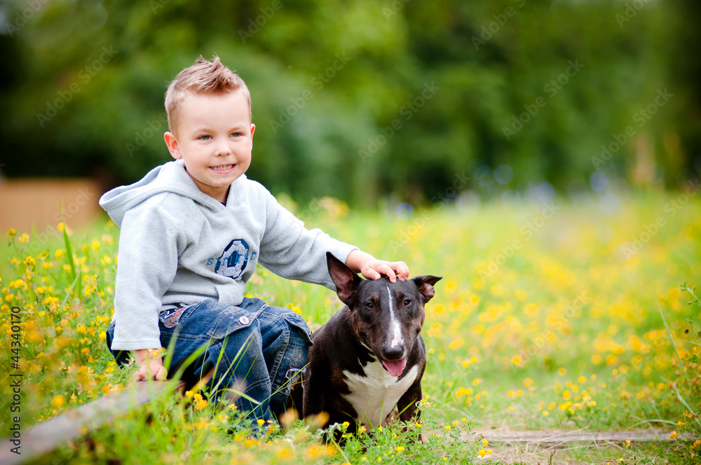 young boy petting a bull terrier dog young boy petting a bull terrier dog