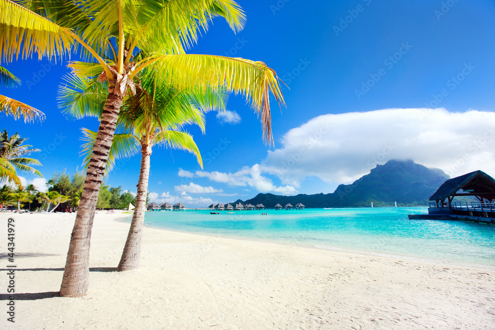 Bora Bora beach - obrazy, fototapety, plakaty 