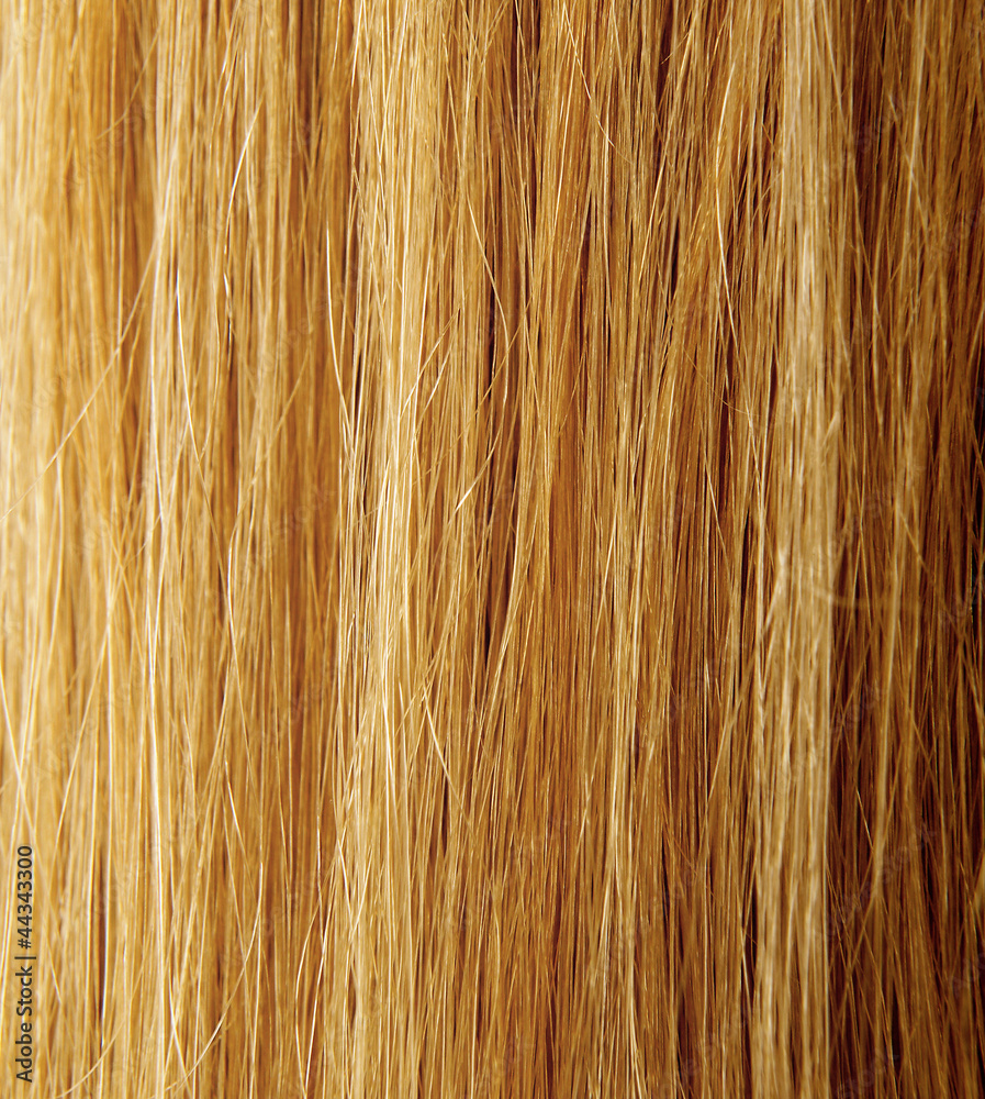 Blond Hair Texture Blond Hair Texture