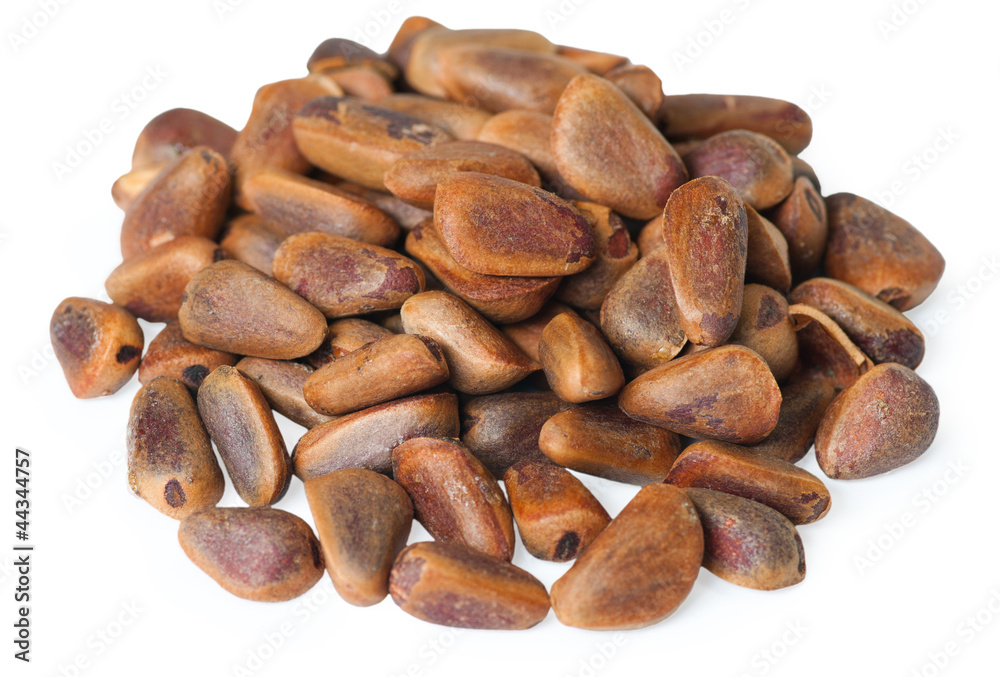 Pine nuts on the white Pine nuts on the white