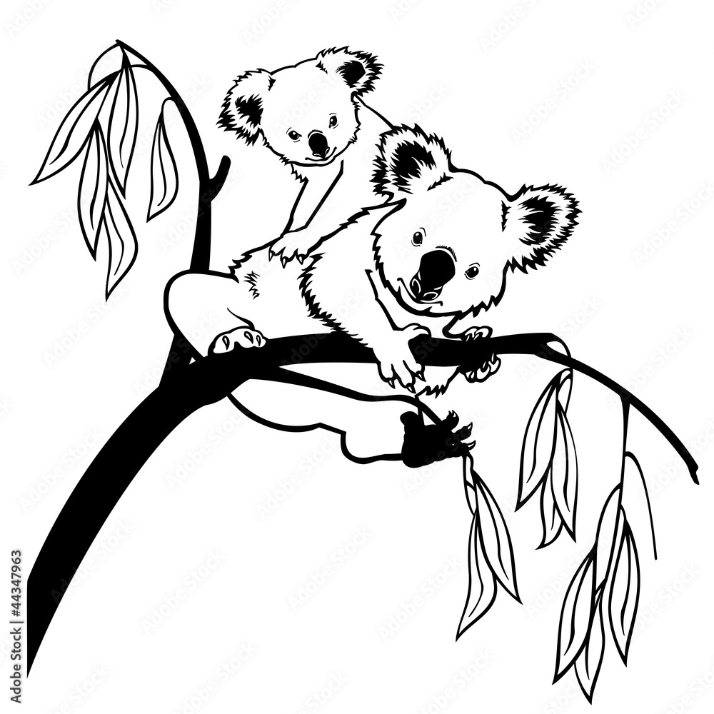 Naklejka premium koala z dzieckiem czarno-biały
