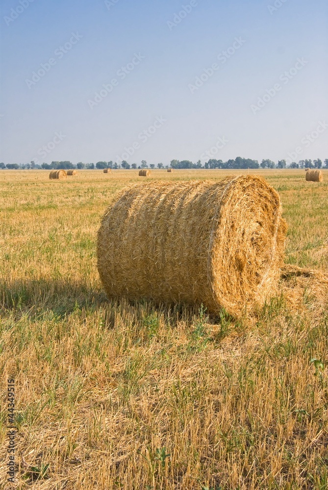 haystack on a  summer field