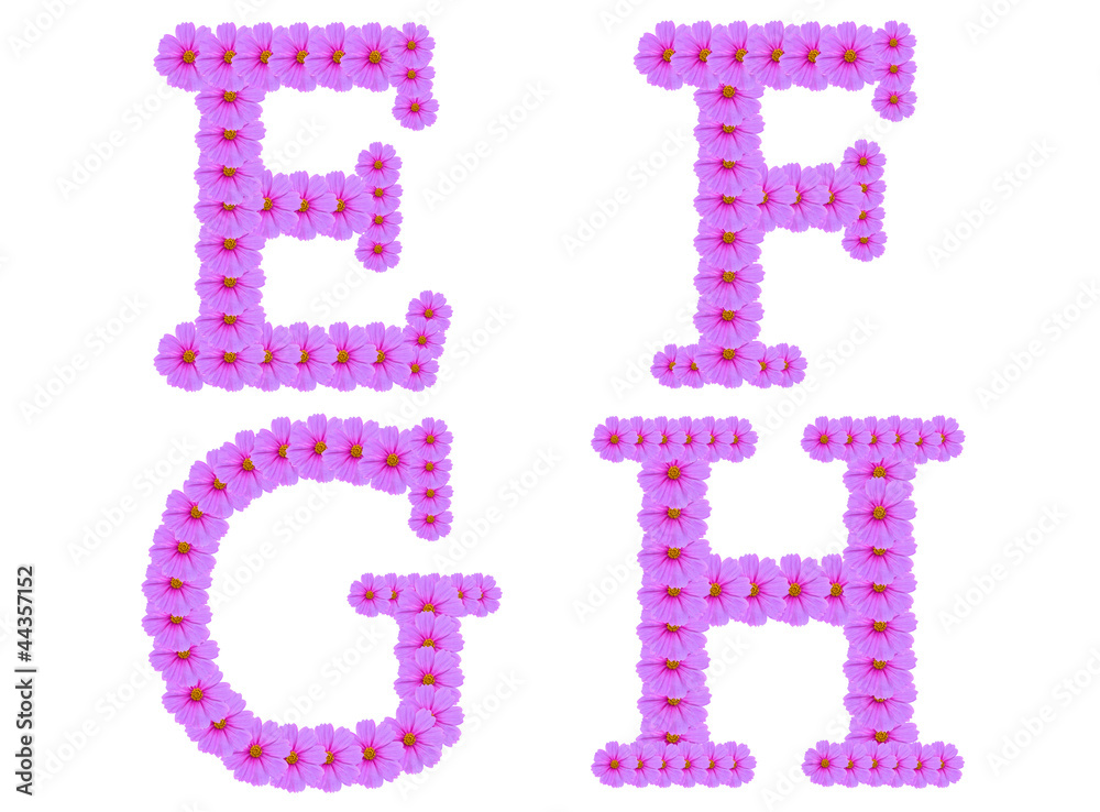 Alphabet E F G H, Cosmos flower alphabet isolated on white