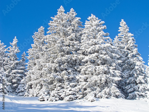 Winter in the alps