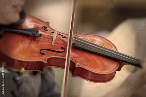 Violin