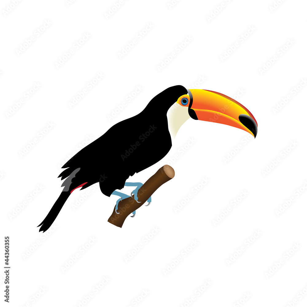 Naklejka premium Tukan